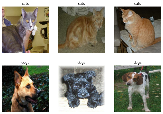 dogsAndCats.png